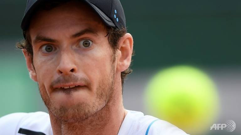 murray del potro set up french open blockbuster