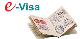 how to apply for vn e visas