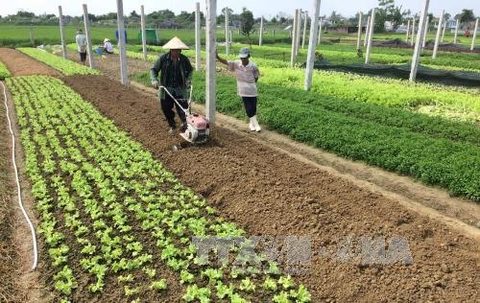 hue to spend 52m on agriculture