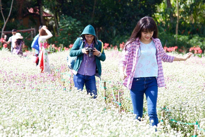 visitors buzz around tien giang flower garden