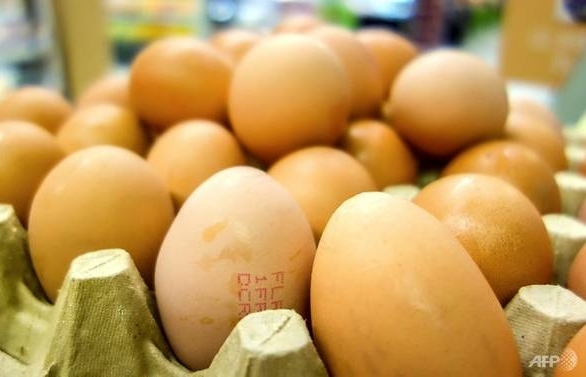 More than four million eggs recalled in Poland