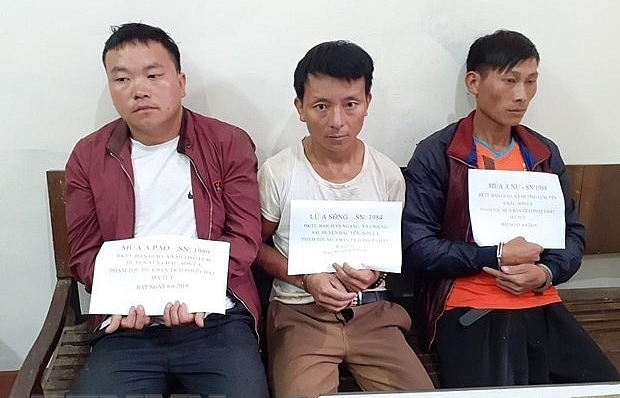 Son La: three arrested for drug smuggling