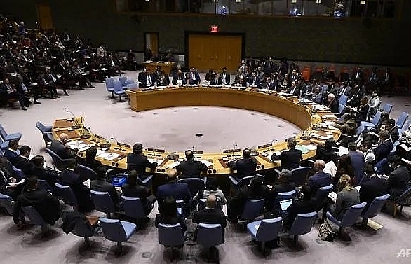 Estonia, Vietnam among five elected to UN Security Council