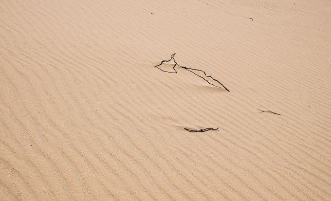 picturesque giant sand dunes of quy nhon