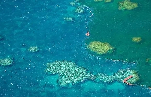 Australia approves vast coal mine near Great Barrier Reef