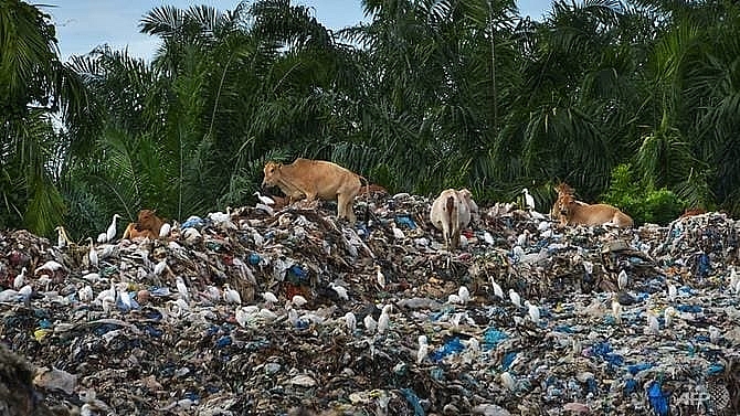indonesia returns five containers of waste to the us