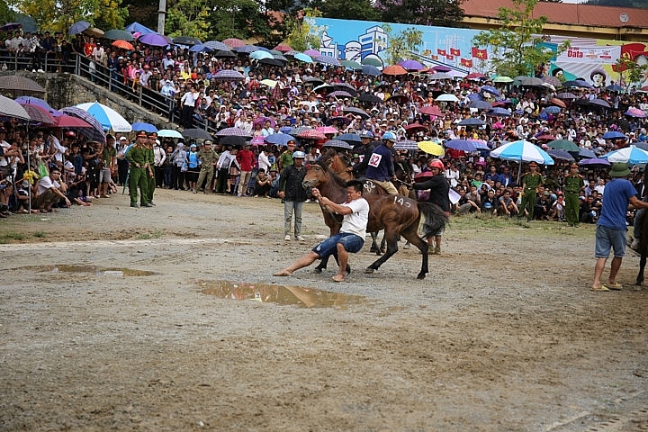 sapa to host debut fansipan horse race
