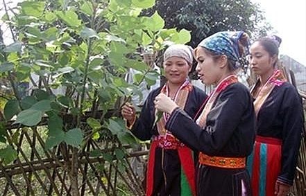 bac giang forest planters receive rice support