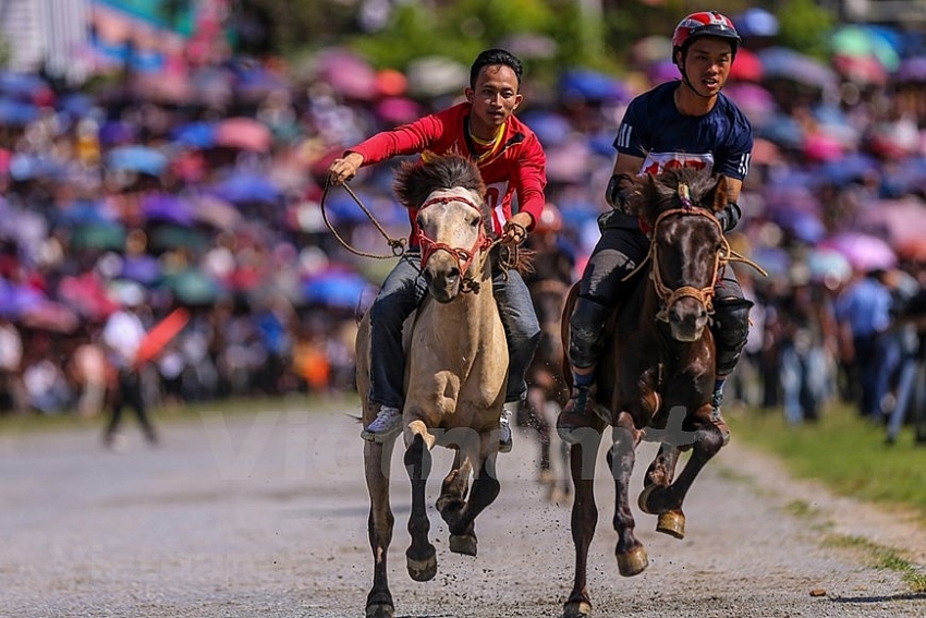 bac ha horse race attracts tourists