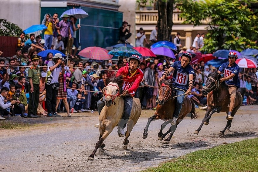 bac ha horse race attracts tourists