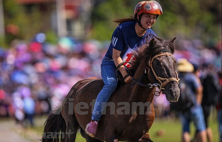 Bac Ha horse race attracts tourists