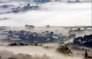 CNN hails Da Lat as producer of best cheese in Asia