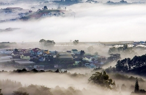 CNN hails Da Lat as producer of best cheese in Asia