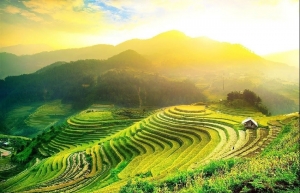 Five Vietnamese places among world’s 20 best backpacking destinations