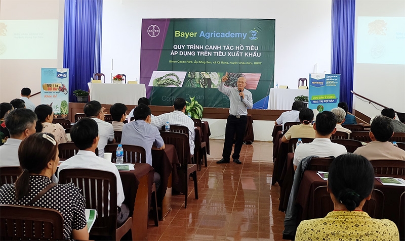 bayers black pepper solutions continue to drive sustainable farming in vietnam