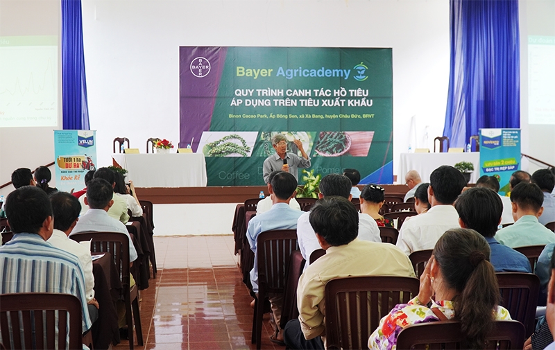 bayers black pepper solutions continue to drive sustainable farming in vietnam