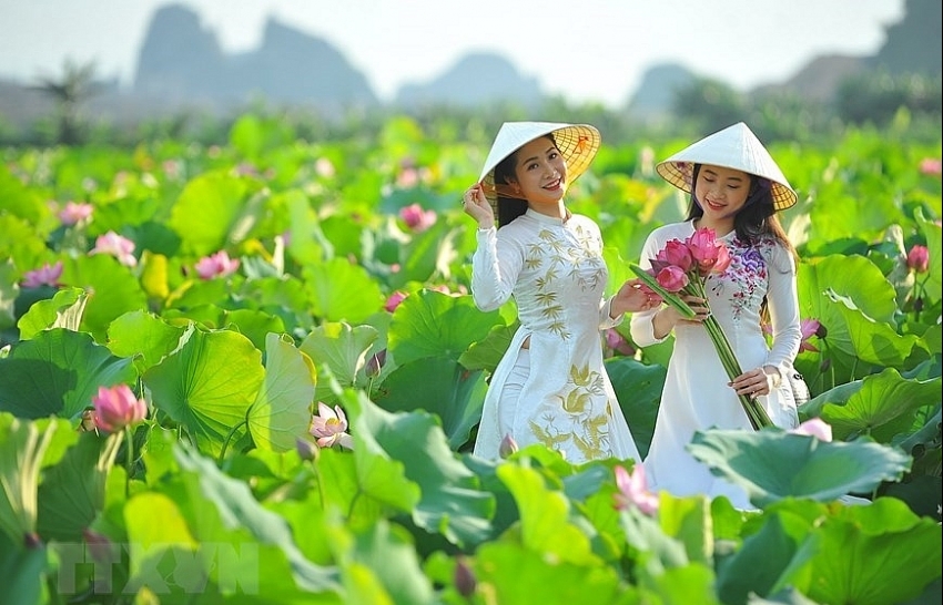 Dreaming beauty of lotus in Ninh Binh