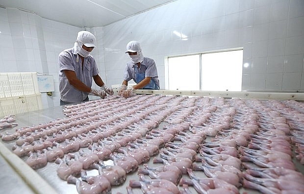 1497p9 seafood exporters setting up basis for evfta boons