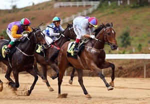 Vietnam should develop gambling industry to boost tourism