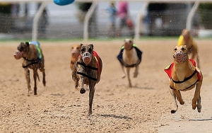 Proposal steers sports betting to starting line