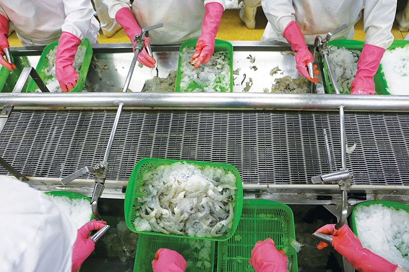 1546 p17 seafood exports to glide in shallow waters