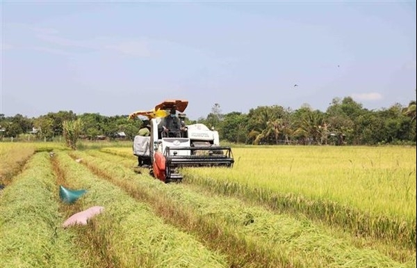 Australian businesses interested in agritech in Vietnam