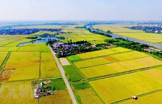 Investors face barriers in obtaining agricultural land