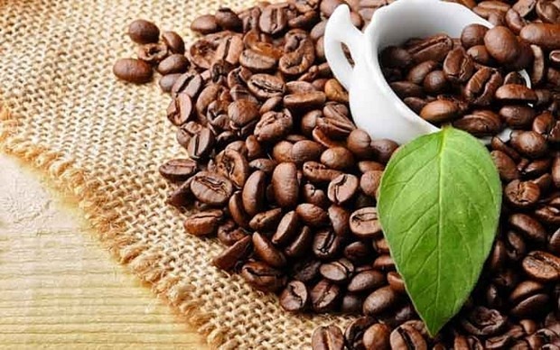 Coffee export turnover exceeds 2 billion USD in five months