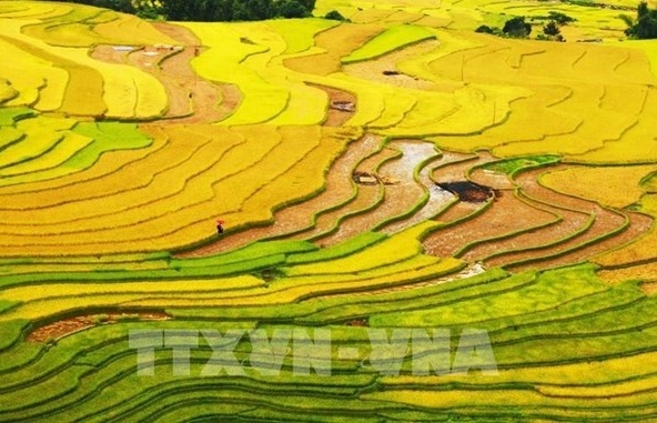 Vietnam nominated in 10 categories at World Travel Awards 2022
