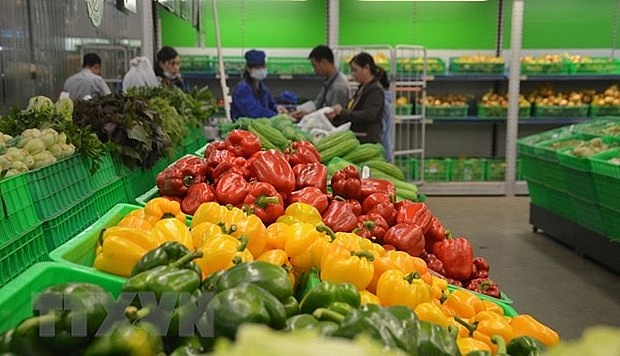 Five-month fruit and vegetable export turnover reaches 1.4 billion USD