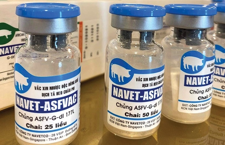 New ASF vaccine nears export status