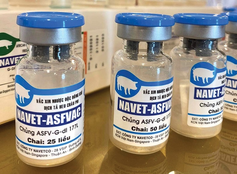 New ASF vaccine nears export status