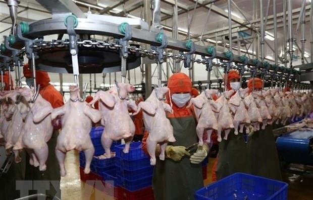 Malaysia partially lifts chicken export ban