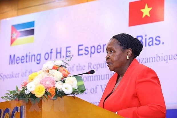 Mozambique gateway for Vietnamese firms to access Southern Africa