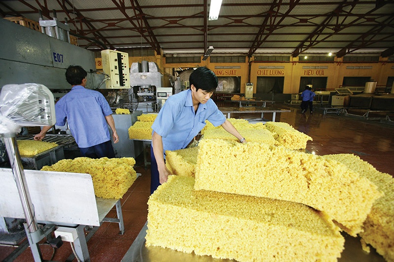 Vietnam urged to upgrade to attract big rubber funding