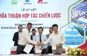 Haiphong promotes renewable energy investment in industrial parks