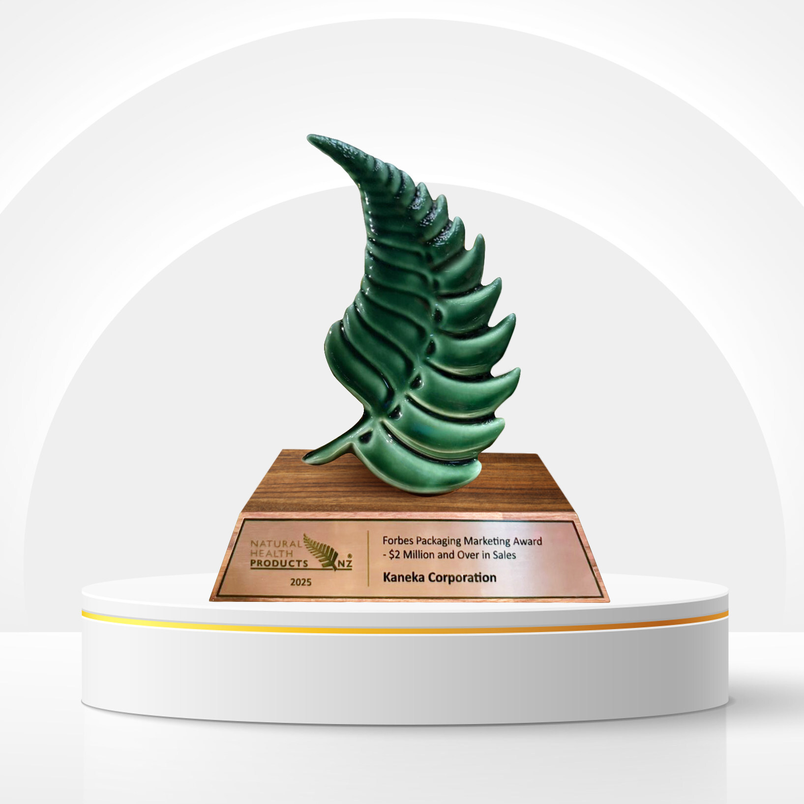 Kaneka Ubiquinol™ wins top marketing award in New Zealand