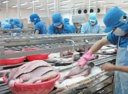 tra fish exports jump 40 times in 10 years