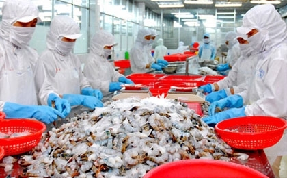 WTO largely backs Vietnam in shrimp dispute with US