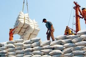 Rice export target yet to take root