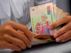 Vietnam dong to devaluate 2.5pct at most: ANZ