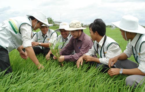an giang plant protection committed to transforming the future of farming in vietnam