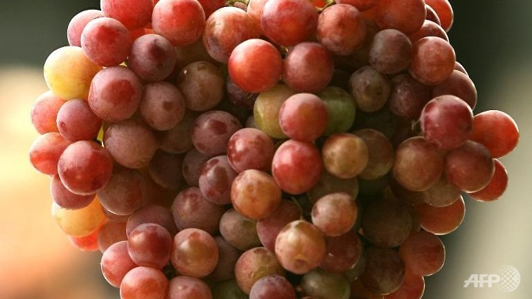 japanese grapes fetch record us 5400