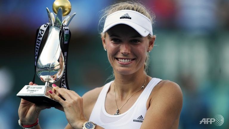 wozniacki routs vinci for istanbul title