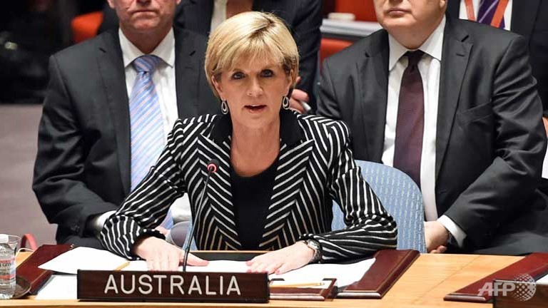 un security council condemns mh17 downing