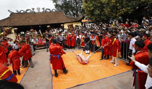 brutal animal killing festivals to be eliminated in vietnam minister