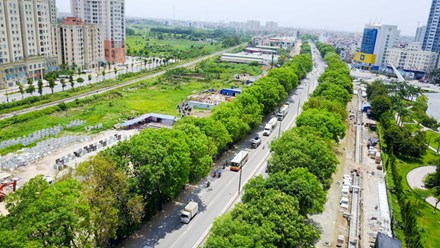 hanoi authorities seek support for tree related projects