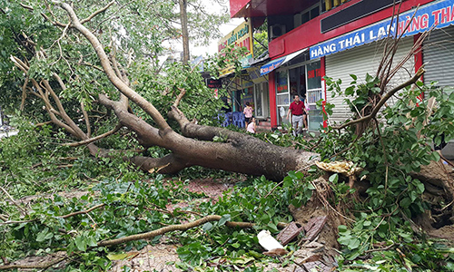 second storm hits nghe an ha tinh provinces