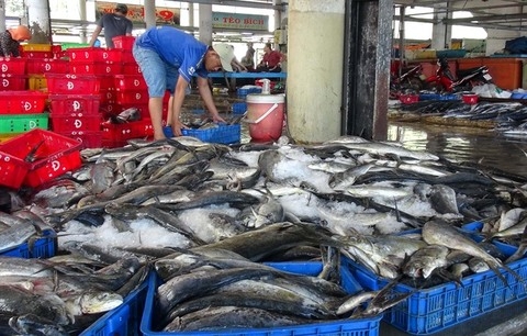 fisheries sector strives to meet ecs requirements