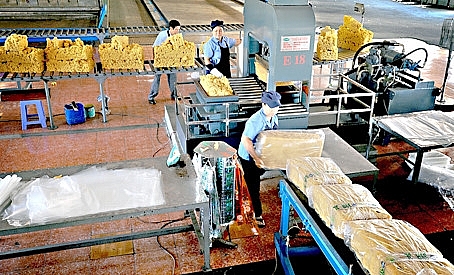 gia lai businesses granted 23 overseas investment licences